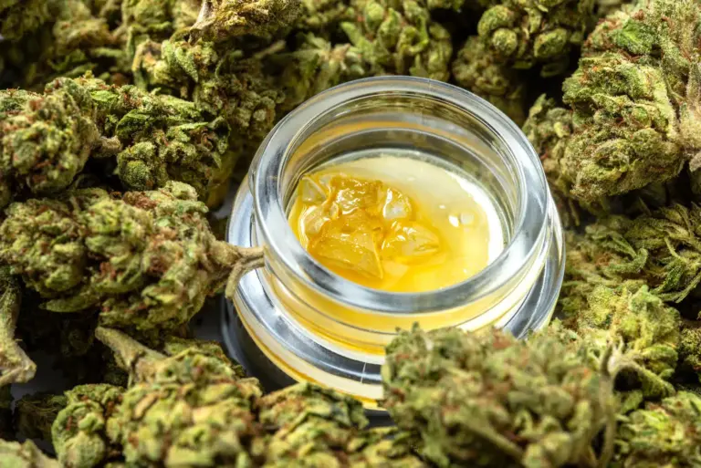 Live Resin vs Rosin vs Distillate: What’s the Difference?
