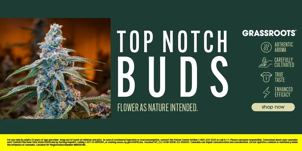 Clouditude Grassroots