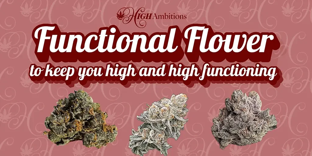 Clouditude High Ambitions