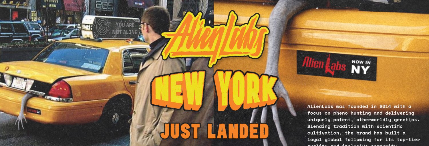 NY_Just Landed_Web Hero_2001x801